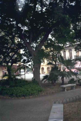 Hotel Plaza during Parque Central