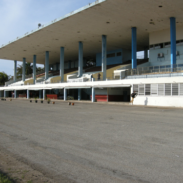 Saborite - stands