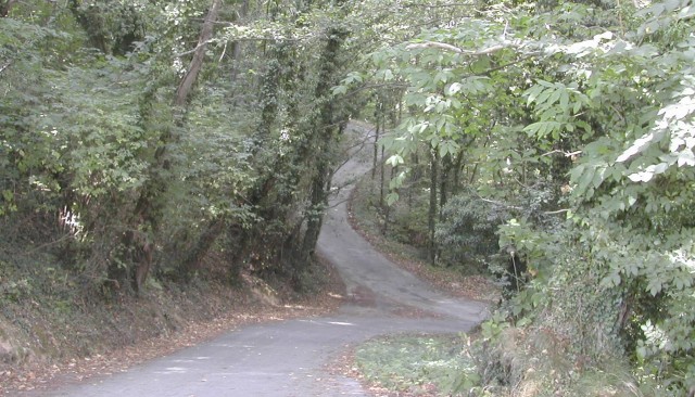 Road down the hill from Villabuona