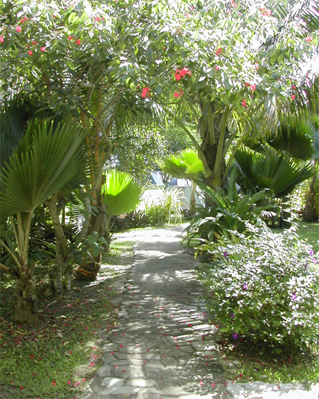 Path at Beach
          House