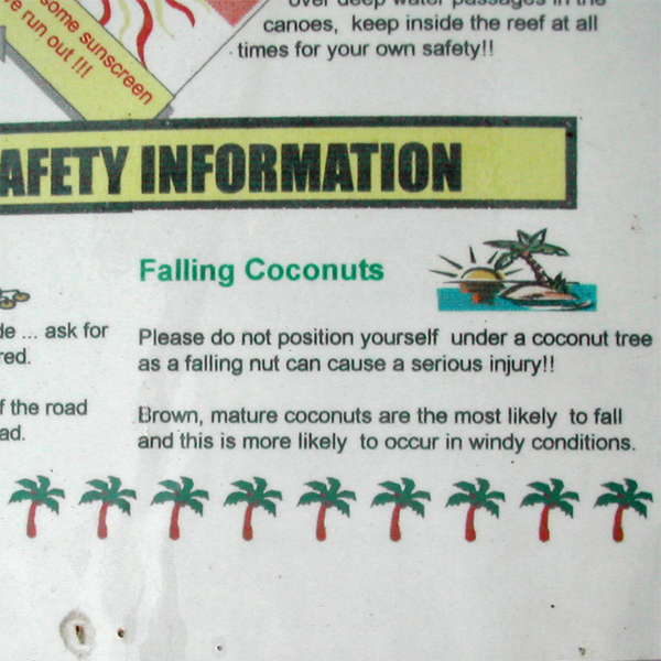 Coconut tree
          warning