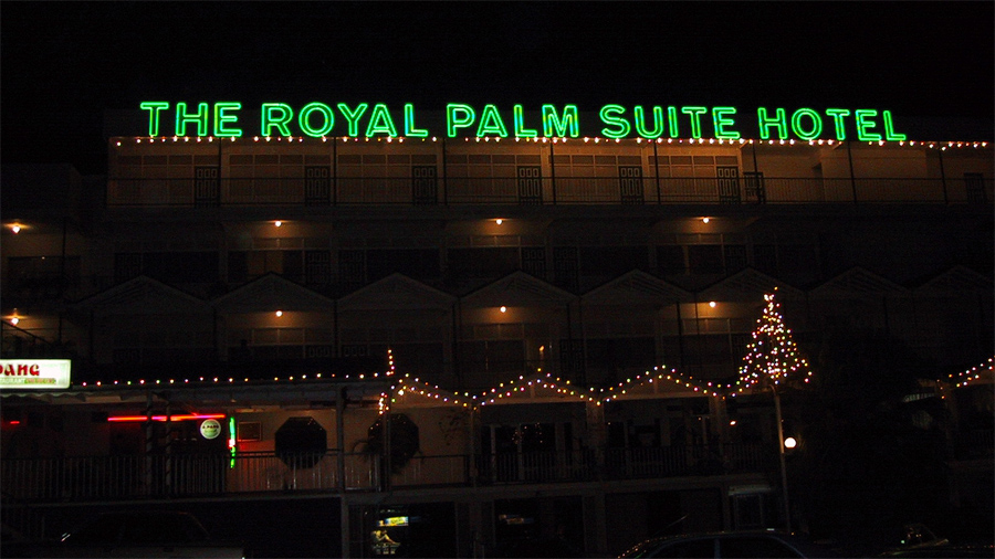 Royal Palm