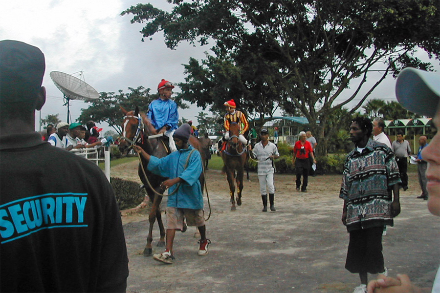 Horses
                                                          enter track