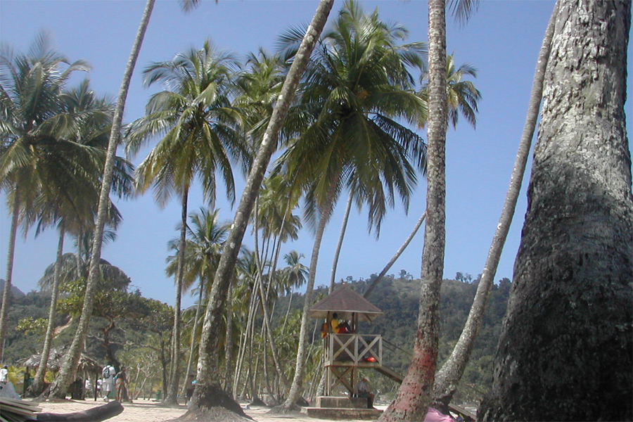 lifeguards at beach