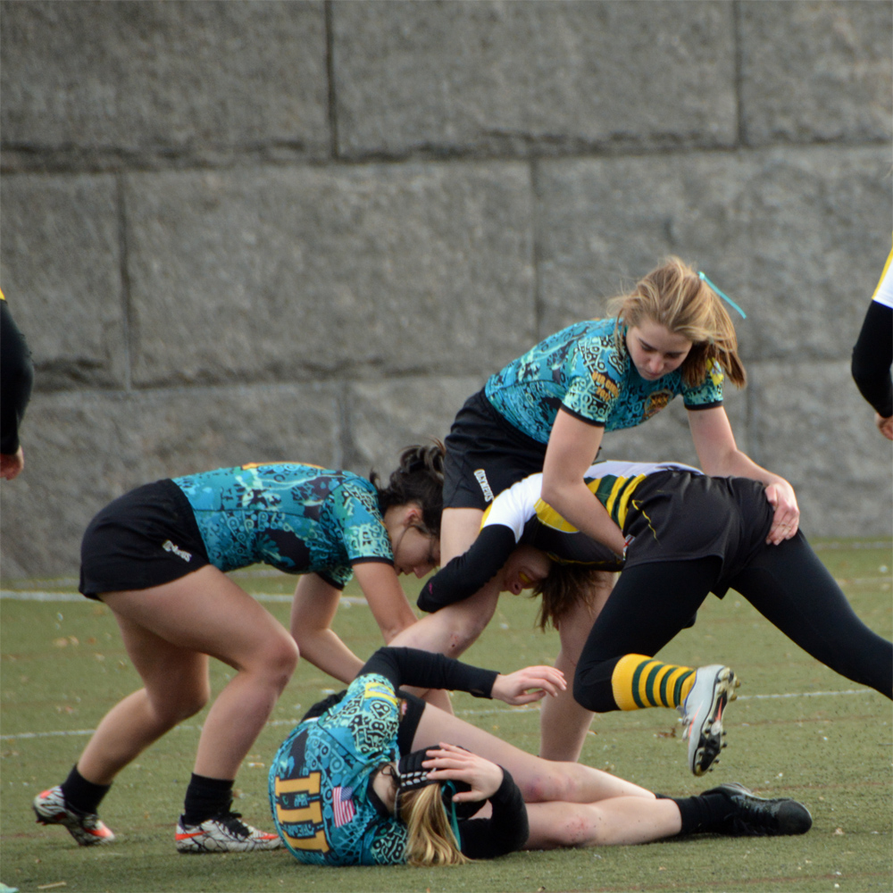 Alex Pipkin holds off
              Niagara-b