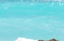 SEE
            OFF BARBADOS