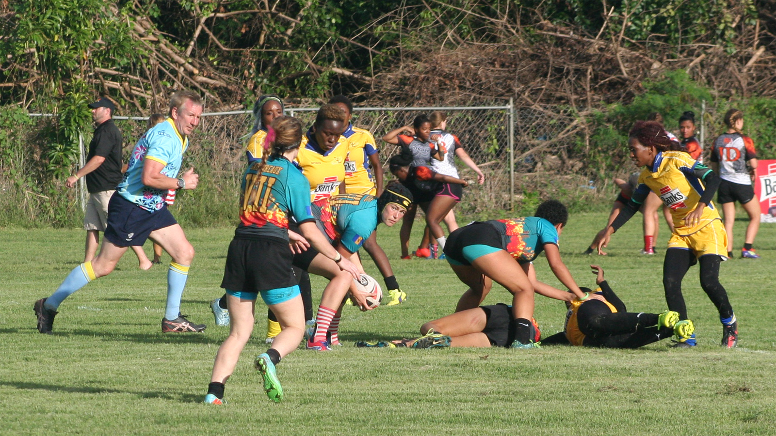 Abby plays ball from tackle